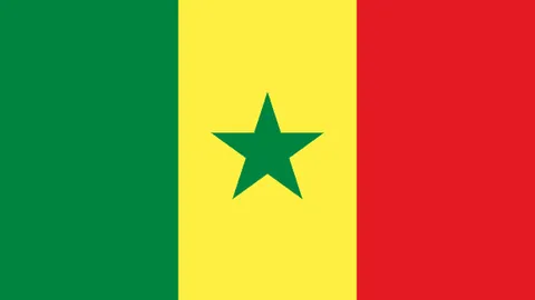 《征服海洋秘籍：揭秘“坚不可摧”战舰，掌握无敌修船术，炮术高手独步江湖！》