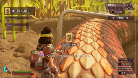 “横扫拉美！北美球队勇夺霸主，拉美劲旅遗憾步入败局之旅”